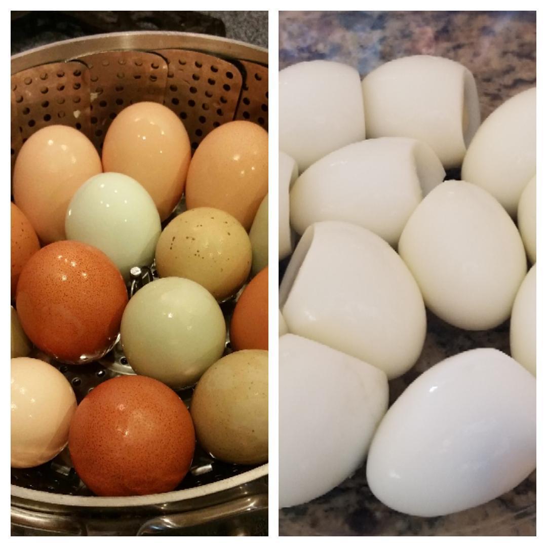 How To Peel Fresh Boiled Eggs Be the Organic U